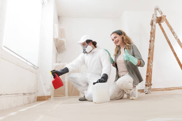 Best Industrial Mold Remediation  in St Matthews, KY